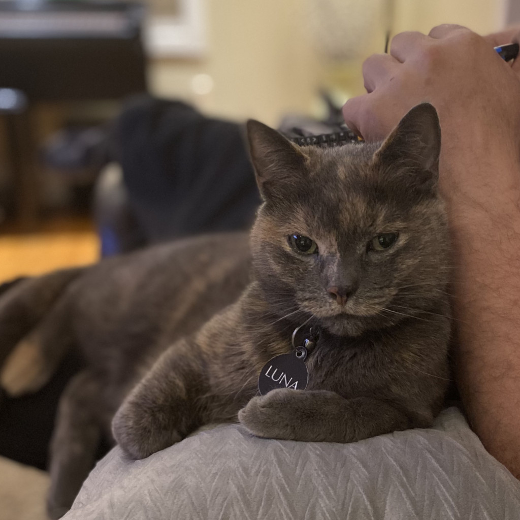 Luna