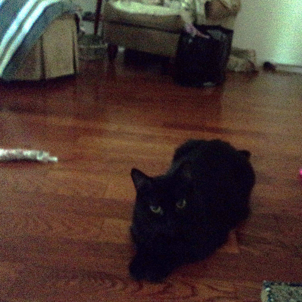Coco