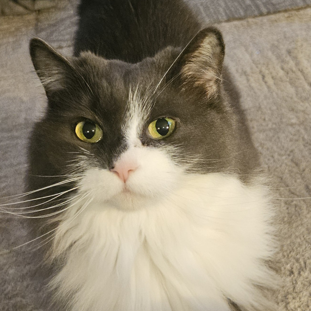 Milky