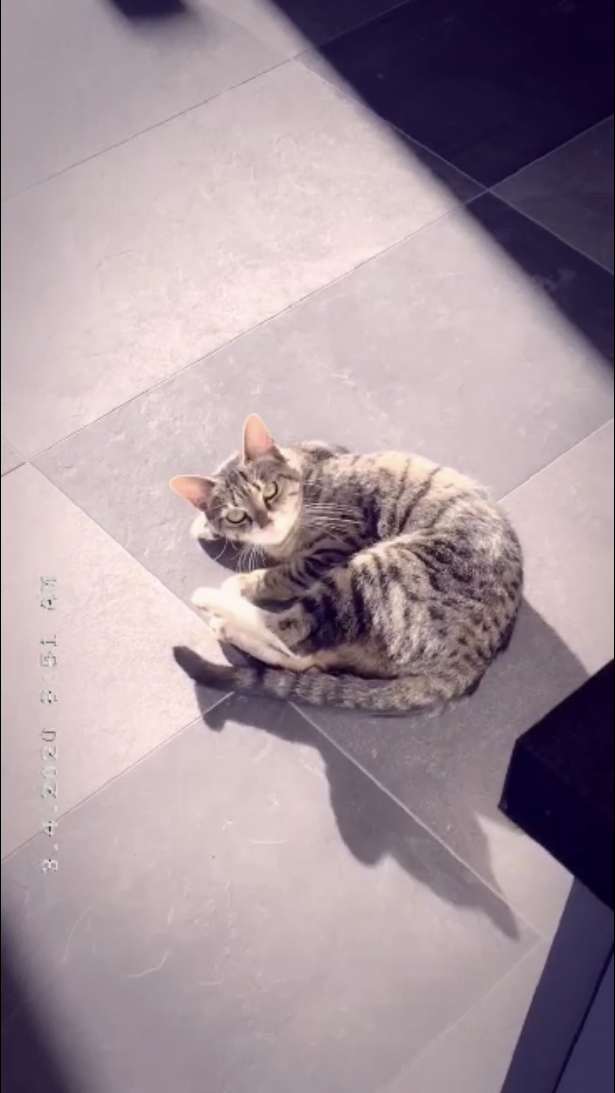Mon petite Mon petite