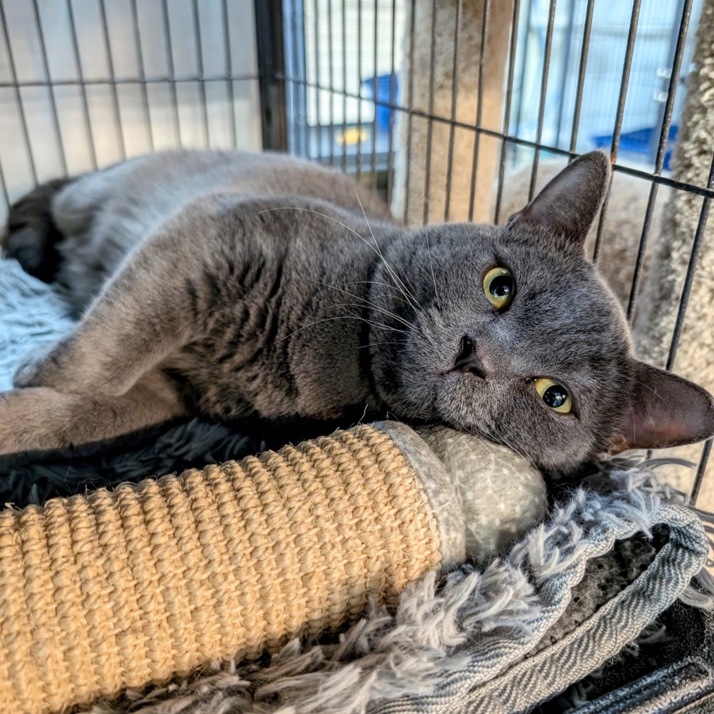 Milo