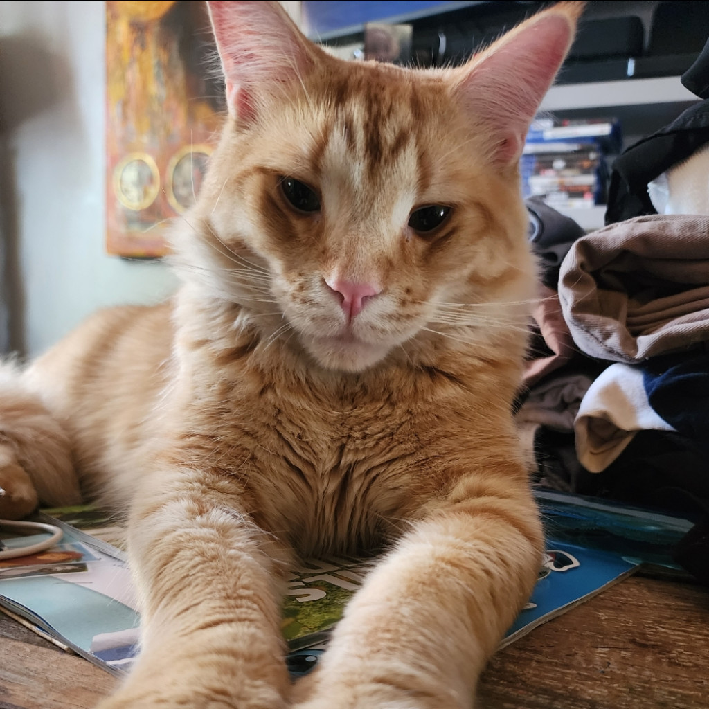 Theodore